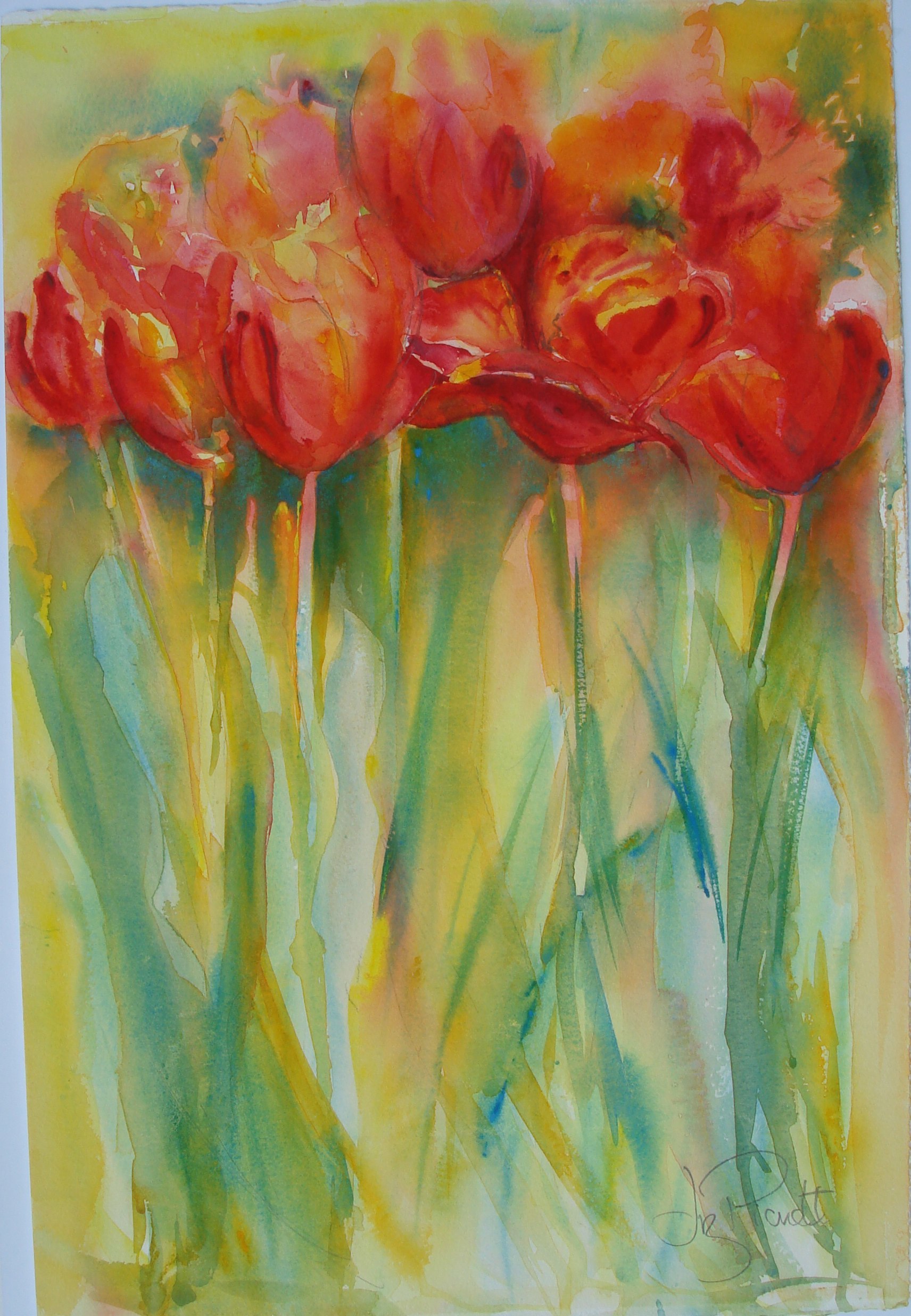 Tulips • Liz Pickett Art